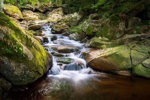 Harz