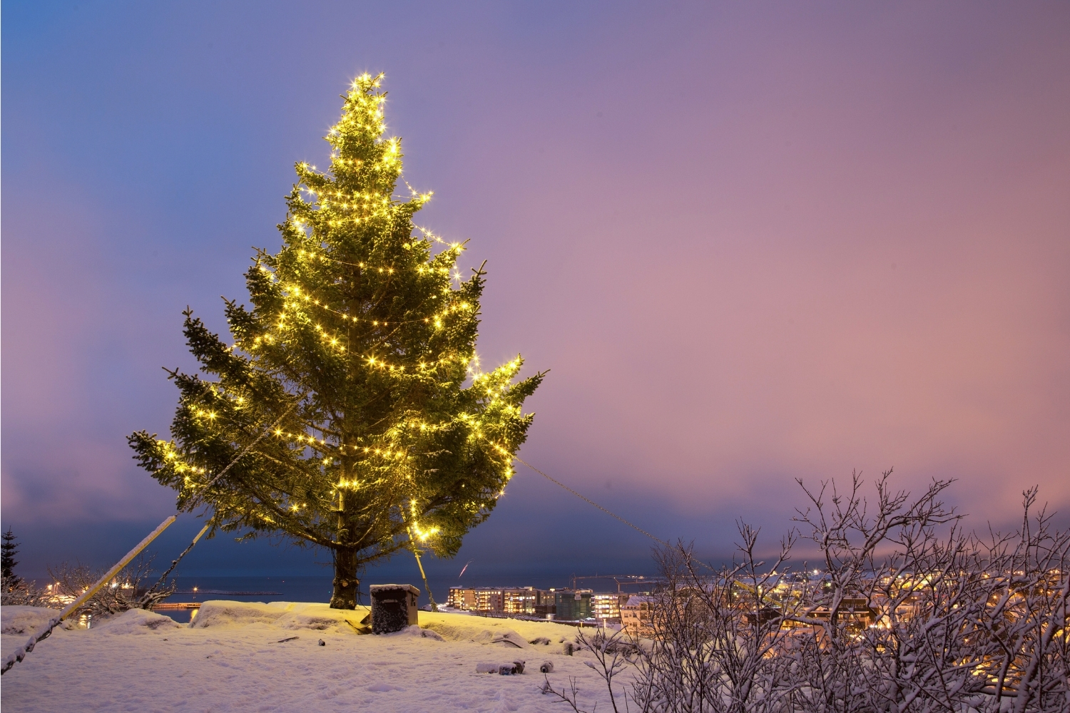 Island Weihnachtsbaum