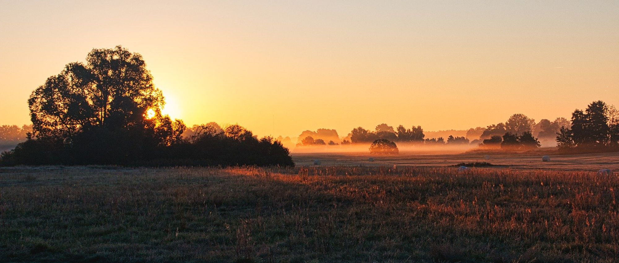 Naturparks Mecklenburg