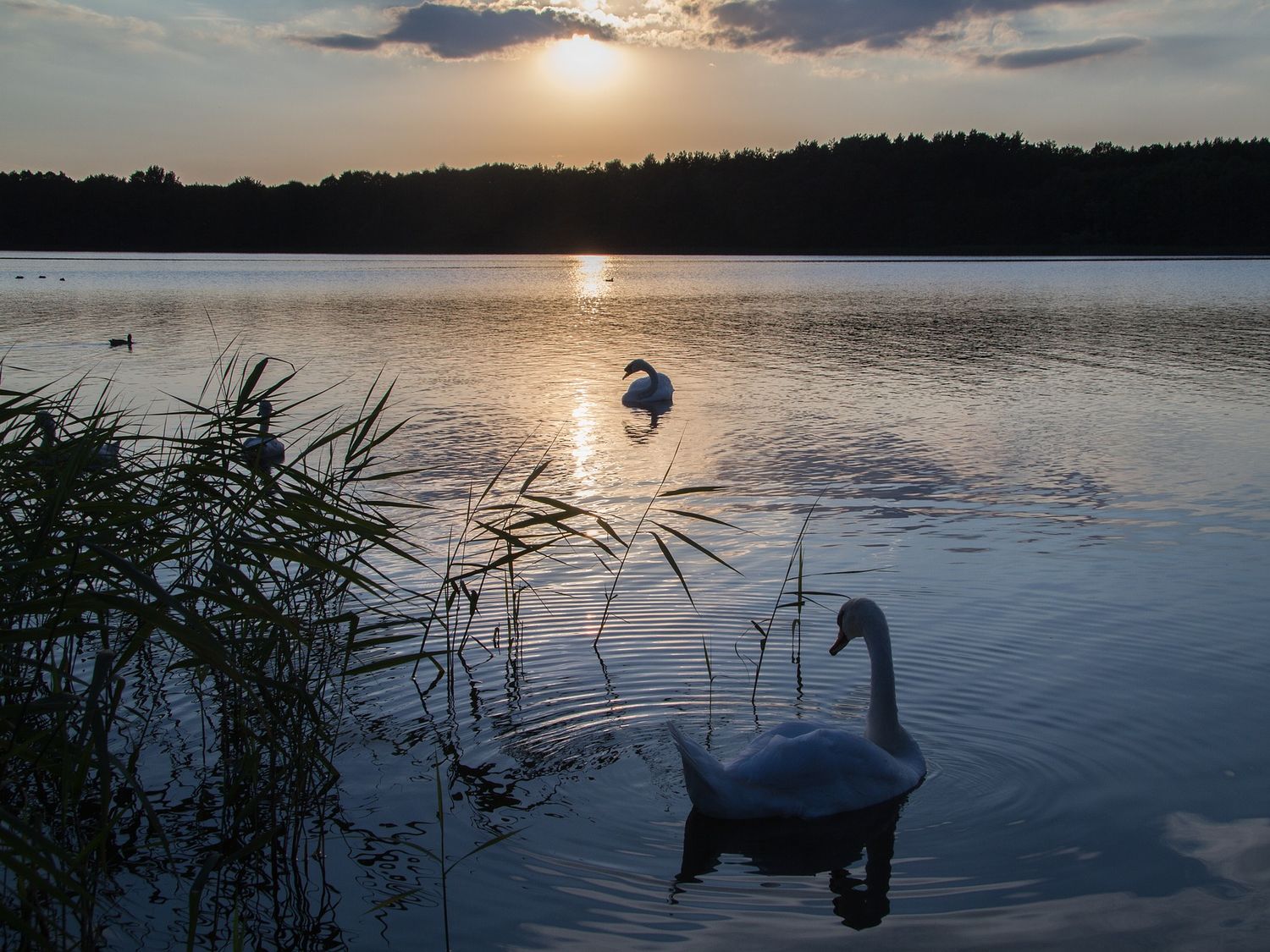 Sonenuntergang-Mecklenburger-See