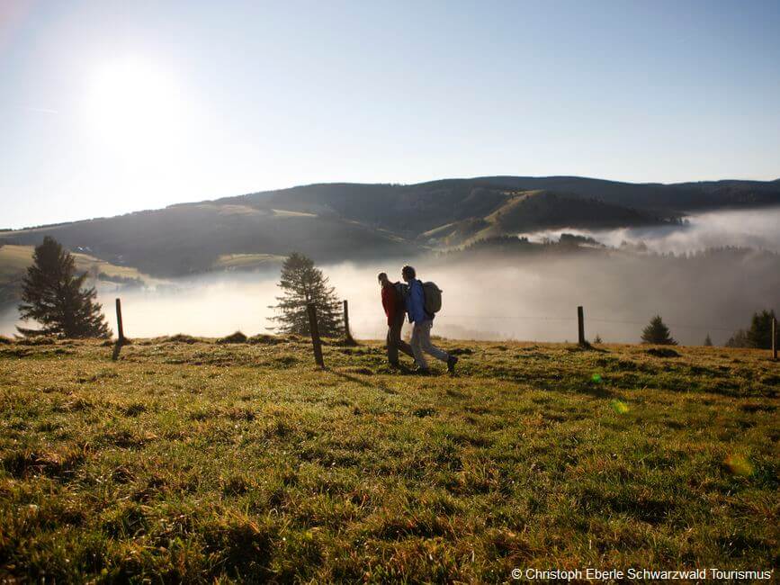 Westweg Höhenwanderweg im Schwarzwald