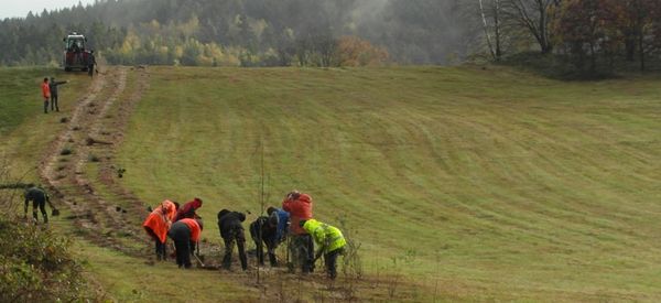 Helfer bei der Pflanzaktion im November 2017  ©Hans Lukas