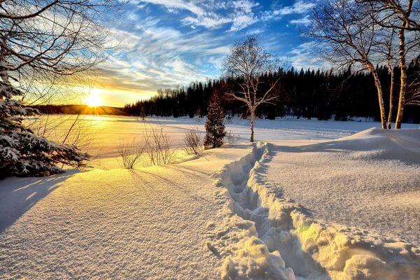 Winterlandschaft