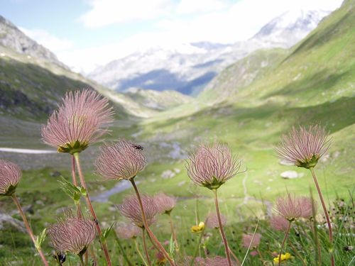 Wandern - Leidenschaft im Einklang mit der Natur