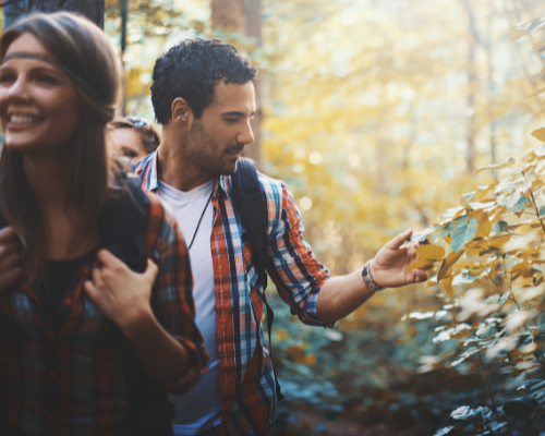 Über Stock und Stein – Wie du deine Wanderung umweltfreundlich gestaltest