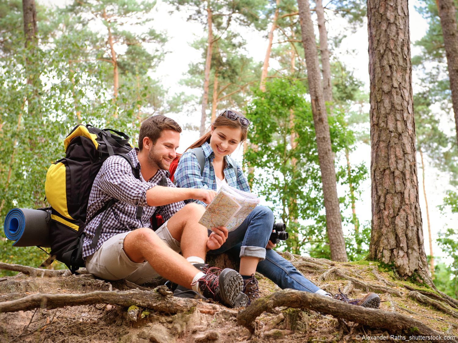 Wanderfreuden im Harz