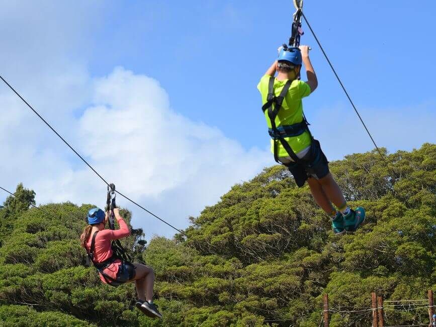 Zipline im Schwarzwald