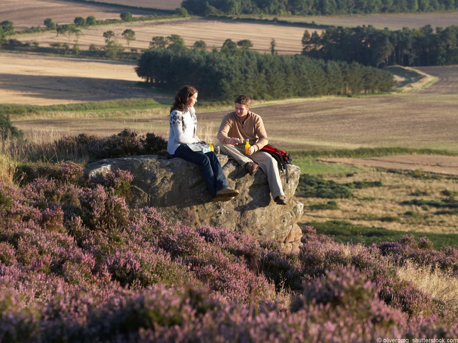 Picknick in der Lüneburger Heide