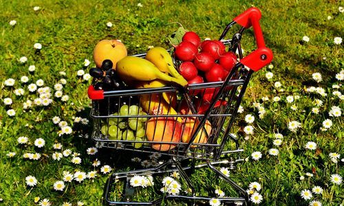 Einkaufswagen mit Obst