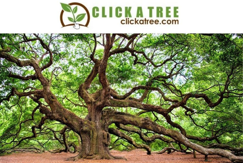 Click a Tree Baum