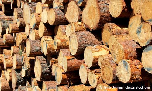 Holzenergie