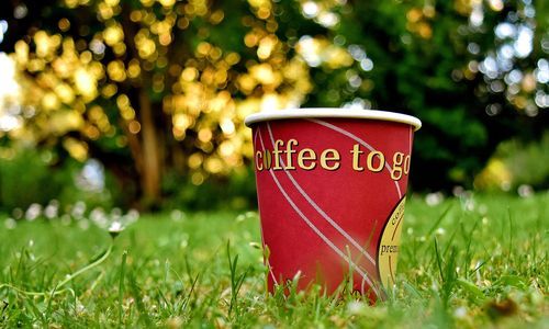 Kaffeebecher auf einer Wiese