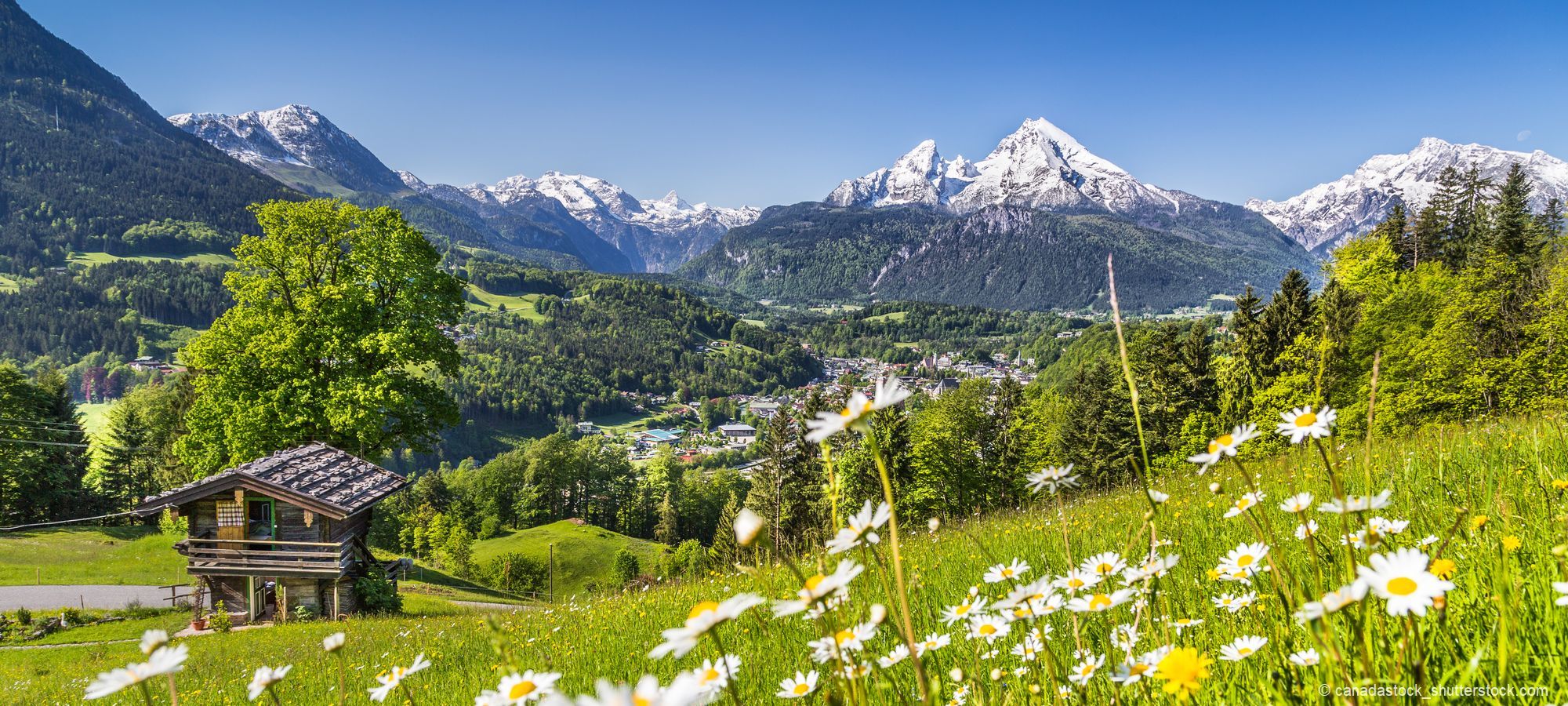 Bayerischer Wald