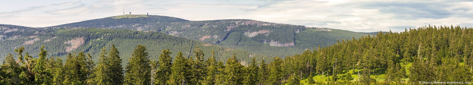 Harzer Wanderwelt mit Blick auf den Brocken