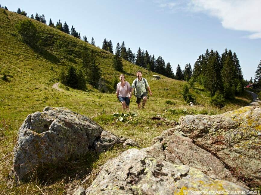 Feldberg-Steig im Schwarzwald