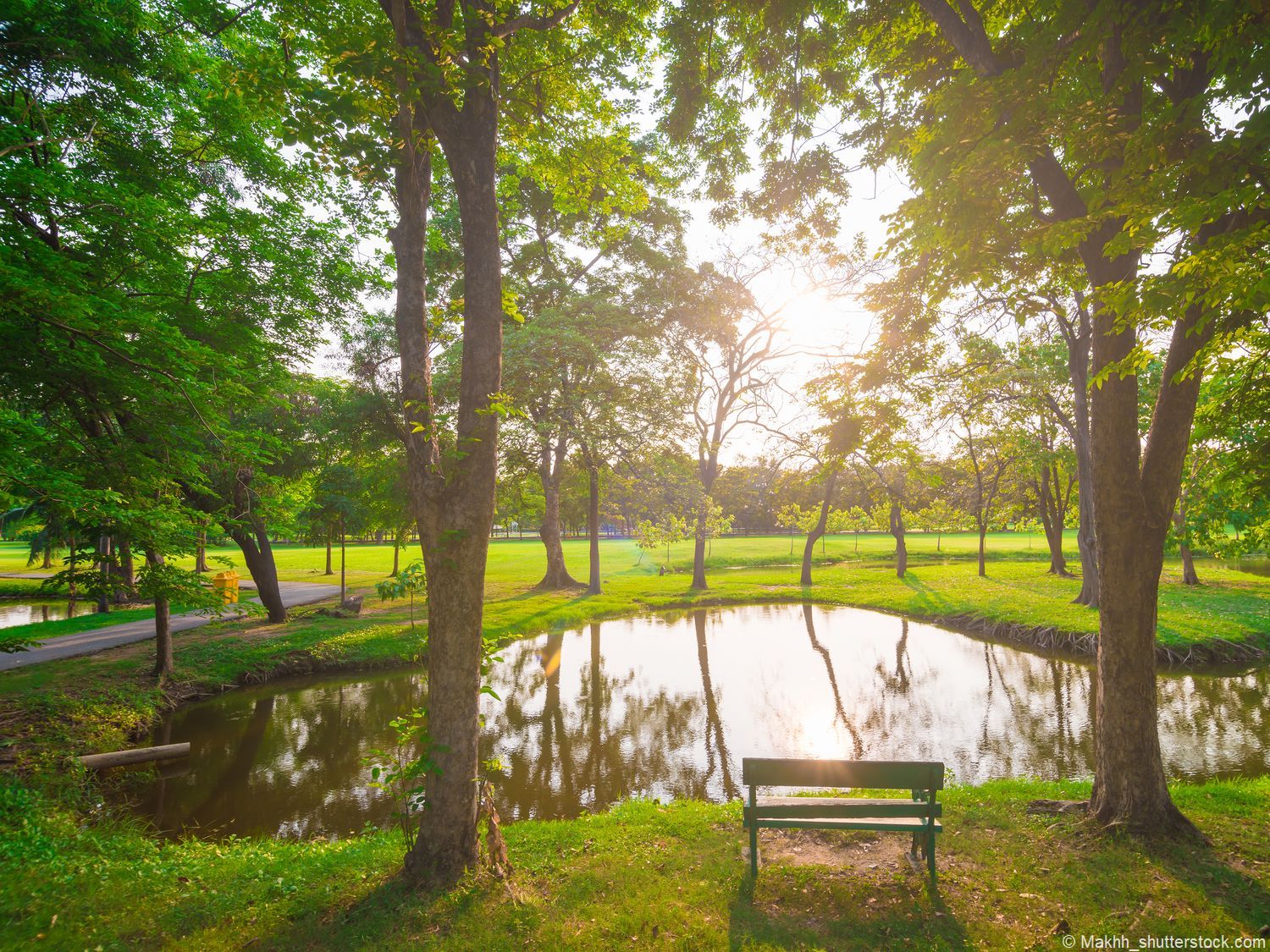 Stadtpark-Lueneburger-Heide