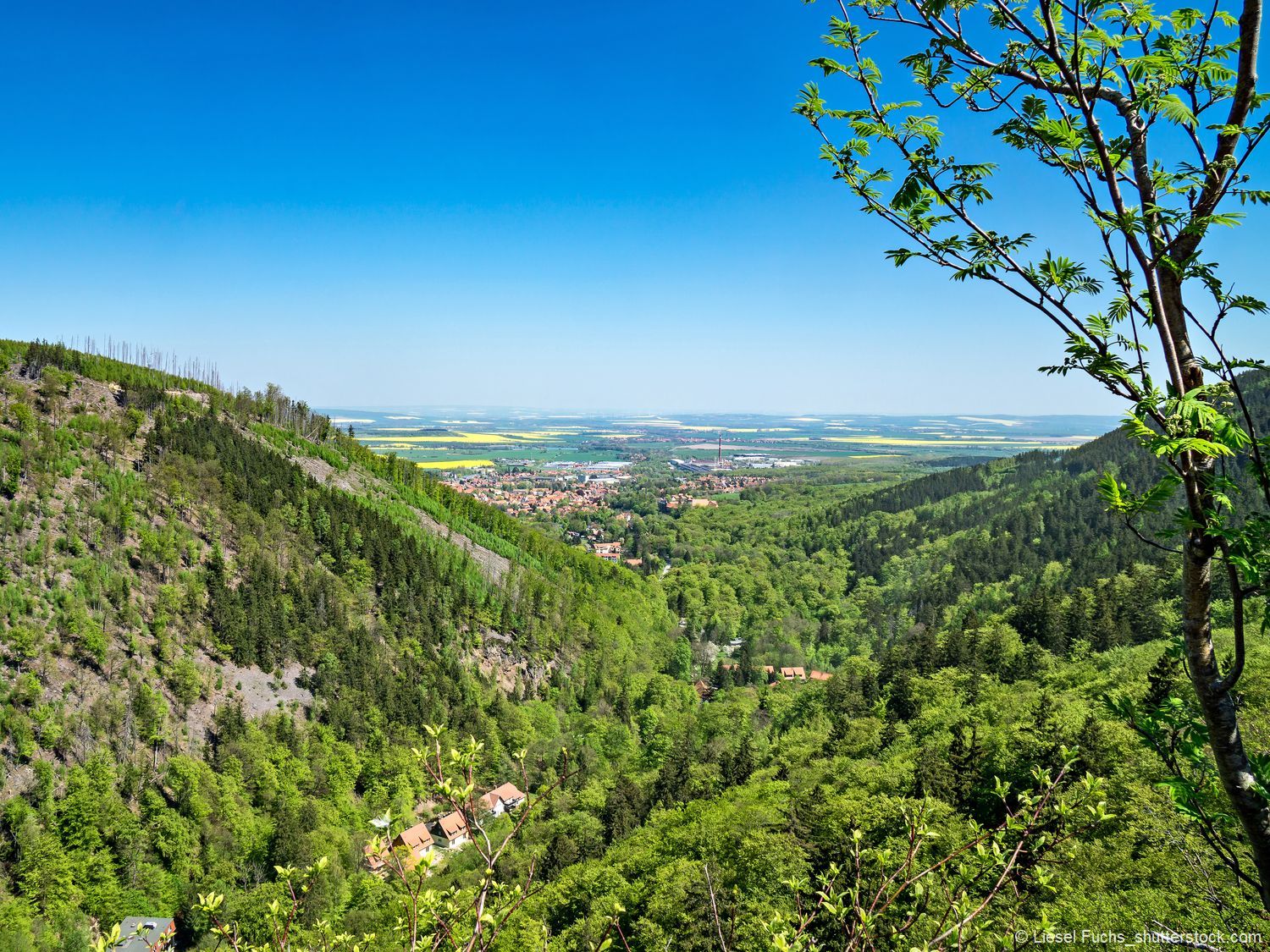 Aussichten im Harz