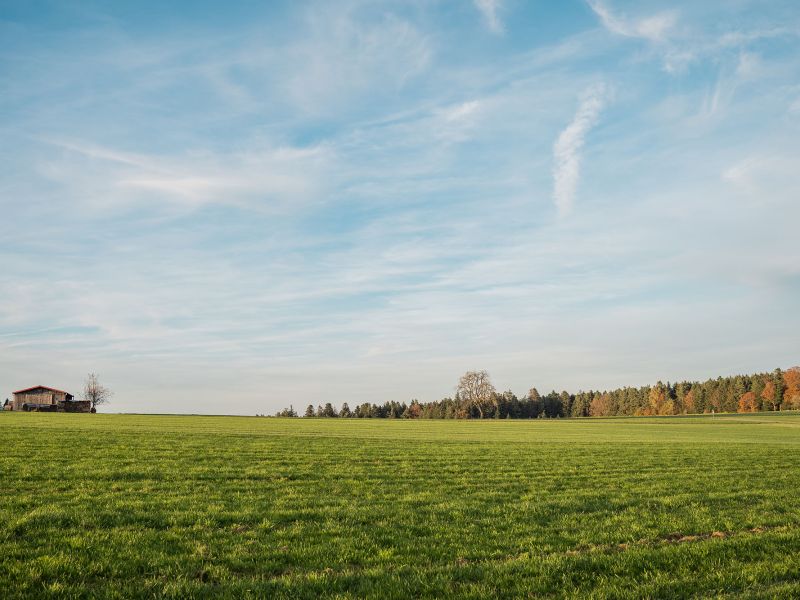 DEKRA Congresshotel Wart