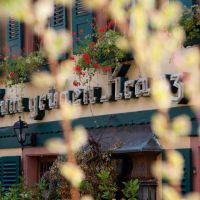 Weinhotel des Riesling „Zum Grünen Kranz“
