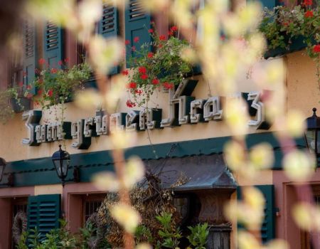 Weinhotel des Riesling „Zum Grünen Kranz“