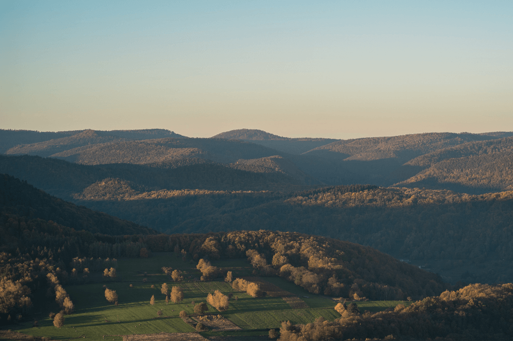 DEKRA Congresshotel Wart Umgebung